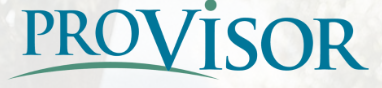 PROVISOR INC logo